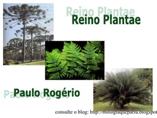 consulte o blog: http://biologiaquepariu.blogspot
 