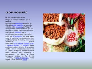 DROGAS DO SERTÃO
O Ciclo das Drogas do Sertão
Drogas do sertão é um termo que se
refere a
determinadas especiarias extraídas do
chamado sertão brasileiro na época das
entradas e das bandeiras, as "drogas"
eram produtos nativos do Brasil, que não
existiam na Europa e, por isso, atraíam o
interesse dos europeus que as
consideravam como novas especiarias.
A foz do rio Amazonas era uma região
onde se praticava intenso escambo com
produtos típicos da região, como ervas
aromáticas,
plantas
medicinais, cacau, canela, baunilha, cravo
, castanha-do-pará e guaraná. Esses
produtos recebiam o nome de drogas do
sertão e eram considerados especiarias
na Europa, alcançando excelentes preços
nesse período. Para combater o
contrabando, em 1616, a Coroa
Portuguesa fundou, na foz do rio
Amazonas, o forte do Presépio, dando
origem à atual cidade de Belém.

 