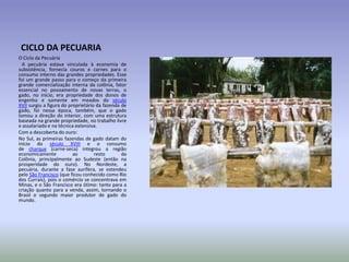 CICLO DA PECUARIA
O Ciclo da Pecuária
A pecuária estava vinculada à economia de
subsistência, fornecia couros e carnes para o
consumo interno das grandes propriedades. Esse
foi um grande passo para o começo da primeira
grande comercialização interna da colônia, fator
essencial no povoamento de novas terras, o
gado, no início, era propriedade dos donos de
engenho e somente em meados do século
XVII surgiu a figura do proprietário da fazenda de
gado, foi nessa época, também, que o gado
tomou a direção do interior, com uma estrutura
baseada na grande propriedade, no trabalho livre
e assalariado e na técnica extensiva.
Com a descoberta do ouro:
No Sul, as primeiras fazendas de gado datam do
início do século XVIII e o consumo
de charque (carne-seca) integrou a região
economicamente
ao
resto
da
Colônia, principalmente ao Sudeste (então na
prosperidade do ouro). No Nordeste, a
pecuária, durante a fase aurífera, se estendeu
pelo São Francisco (que ficou conhecido como Rio
dos Currais), pois o comércio se concentrava em
Minas, e o São Francisco era ótimo: tanto para a
criação quanto para a venda, assim, tornando o
Brasil o segundo maior produtor de gado do
mundo.

 