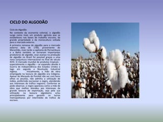 CICLO DO ALGODÃO
Ciclo do Algodão
No contexto da economia colonial, o algodão
surge como mais um produto agrícola que se
estabeleceu nas bases do trabalho escravo, da
grande propriedade e da monocultura voltada
para o mercado externo.
A primeira remessa de algodão para o mercado
externo data de 1760, proveniente do
Maranhão, mais tarde a capitania de Pernambuco
e a Bahia também se tornaram importantes
produtoras de algodão, esse avanço na produção
de algodão no Brasil foi possível graças a uma
nova conjuntura internacional no final do século
XVIII. O mercado mundial de produtos tropicais especialmente o algodão – se expandiu devido à
Guerra de Independência dos Estados Unidos e
logo em seguida a Revolução Industrial
inglesa.
Inicialmente, a mão de obra
empregada na lavoura de algodão era indígena.
Apesar do Marquês de Pombal não ver com bons
olhos os jesuítas, não admitiu a utilização de
índios, preferindo escravizar o negro, atendendo
aos interesses do tráfico negreiro. Conforme se
pode observar, o negro apareceu como a mão de
obra que melhor atendeu aos interesses da
grande lavoura de exportação, seja pela sua
utilização
na
lavoura
algodoeira
e/ou
principalmente para garantir os lucros
metropolitanos por intermédio do tráfico de
escravo.

 