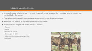 Diversificação agrícola
• A agricultura de subsistência e a pecuária desenvolvem-se ao longo dos caminhos para as minas e nas
proximidades das lavras.
• O crescimento demográfico aumenta rapidamente os lucros dessas atividades.
• Sesmarias são doadas na região a quem queira cultivá-las.
• Novas culturas surgem em outras áreas da colônia:
• Tabaco
• Cacau
• Retorno do açúcar
• Introdução do Café
(desenvolvimento apenas no séc. XIX)
• Pecuária
 