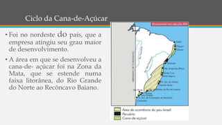 Ciclo da Cana-de-Açúcar
• Foi no nordeste do país, que a
empresa atingiu seu grau maior
de desenvolvimento.
• A área em que se desenvolveu a
cana-de- açúcar foi na Zona da
Mata, que se estende numa
faixa litorânea, do Rio Grande
do Norte ao Recôncavo Baiano.
 