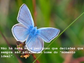 Não há nada mais perigoso que decisões que sempre são adiadas em nome do "momento ideal".  