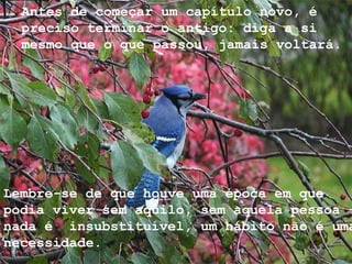 Antes de começar um capítulo novo, é preciso terminar o antigo: diga a si mesmo que o que passou, jamais voltará.  Lembre-se de que houve uma época em que podia viver sem aquilo, sem aquela pessoa - nada é  insubstituível, um hábito não é uma necessidade. 