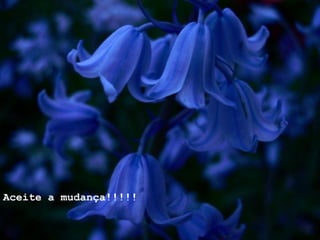 Aceite a mudança!!!!! 