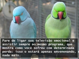 Pare de ligar sua televisão emocional e
assistir sempre ao mesmo programa, que
mostra como você sofreu com determinada
perda: isso o estará apenas envenenando, e
nada mais.
 