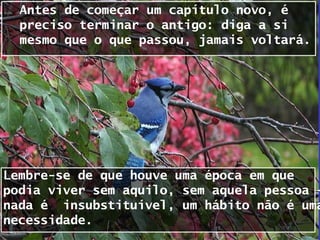 Antes de começar um capítulo novo, é
  preciso terminar o antigo: diga a si
  mesmo que o que passou, jamais voltará.




Lembre-se de que houve uma época em que
podia viver sem aquilo, sem aquela pessoa -
nada é insubstituível, um hábito não é uma
necessidade.
 