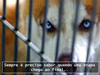 Sempre é preciso saber quando uma etapa
            chega ao final..
 