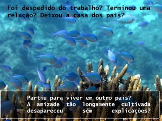 Foi despedido do trabalho? Terminou uma
relação? Deixou a casa dos pais?




     Partiu para viver em outro país?
     A amizade tão longamente cultivada
     desapareceu      sem      explicações?
 