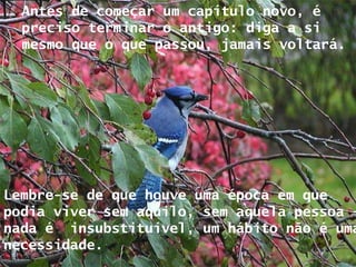 Antes de começar um capítulo novo, é preciso terminar o antigo: diga a si mesmo que o que passou, jamais voltará.  Lembre-se de que houve uma época em que podia viver sem aquilo, sem aquela pessoa - nada é  insubstituível, um hábito não é uma necessidade. 