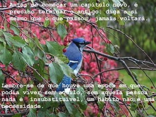 Antes de começar um capítulo novo, é preciso terminar o antigo: diga a si mesmo que o que passou, jamais voltará.  Lembre-se de que houve uma época em que podia viver sem aquilo, sem aquela pessoa - nada é  insubstituível, um hábito não é uma necessidade. 