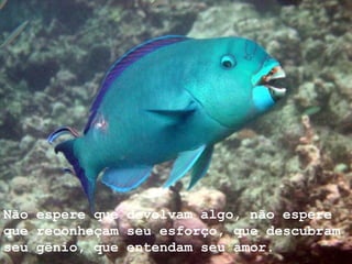 Não espere que devolvam algo, não espere que reconheçam seu esforço, que descubram seu gênio, que entendam seu amor. 