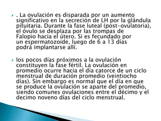    . La ovulación es disparada por un aumento
    significativo en la secreción de LH por la glándula
    pituitaria. Durante la fase luteal (post-ovulatoria),
    el óvulo se desplaza por las trompas de
    Falopio hacia el útero. Si es fecundado por
    un espermatozoide, luego de 6 a 13 días
    podrá implantarse allí.

   los pocos días próximos a la ovulación
    constituyen la fase fértil. La ovulación en
    promedio ocurre hacia el día catorce de un ciclo
    menstrual de duración promedio (veintiocho
    días). Sin embargo es normal que el día en que
    se produce la ovulación se aparte del promedio,
    siendo comunes ovulaciones entre el décimo y el
    decimo noveno días del ciclo menstrual.
 