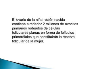El ovario de la niña recién nacida
contiene alrededor 2 millones de ovocitos
primarios rodeados de células
foliculares planas en forma de folículos
primordiales que constituirán la reserva
folicular de la mujer.
 