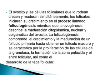 El ovocito y las células foliculares que lo rodean
 crecen y maduran simultáneamente; los folículos
 iniciaran su crecimiento en el proceso llamado
 foliculogénesis mientras que la ovogénesis
 describe la maduración citoplásmica, nuclear y
 epigenética del ovocito. La foliculogénesis
 comprende el crecimiento y la maduración de un
 folículo primario hasta obtener un folículo maduro y
 se caracteriza por la proliferación de las células de
 la granulosa, la formación de la zona pelúcida y el
 antro folicular, así como el
desarrollo de la teca folicular.
 