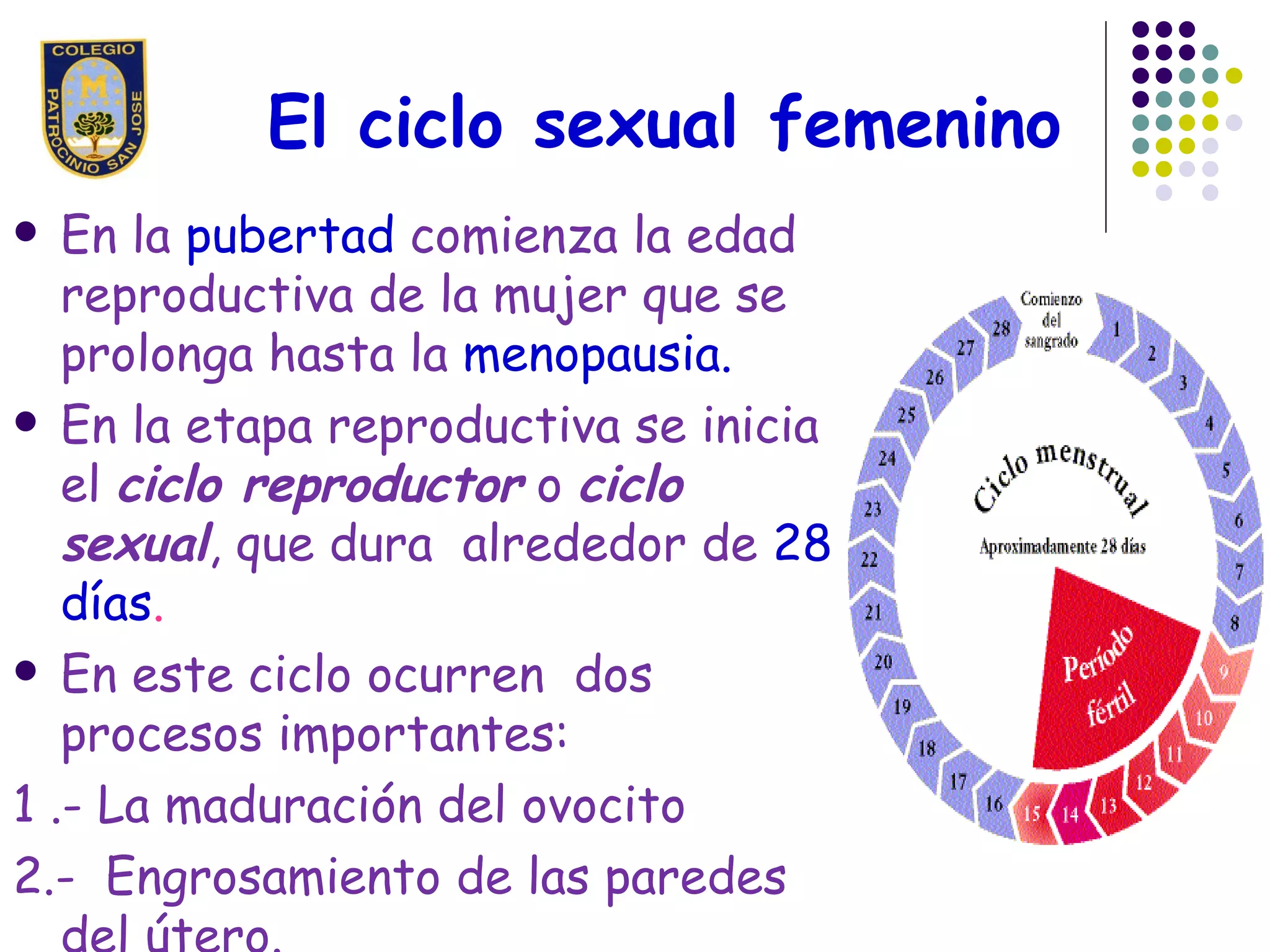 Ciclo Sexual Femenino PPT ciclo-sexual-femenino-ppt