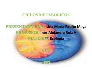 CICLOS METABOLICOS
PRESENTADO POR: Lina María Patiño Maya
PROFESOR: Inés Alejandra Ruiz A
MATERIA: Ecología
UCN
2009
 