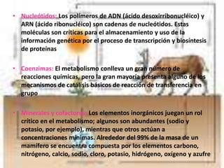 • Nucleótidos: Los polímeros de ADN (ácido desoxirribonucléico) y
ARN (ácido ribonucléico) son cadenas de nucleótidos. Estas
moléculas son críticas para el almacenamiento y uso de la
información genética por el proceso de transcripción y biosíntesis
de proteínas
• Coenzimas: El metabolismo conlleva un gran número de
reacciones químicas, pero la gran mayoría presenta alguno de los
mecanismos de catálisis básicos de reacción de transferencia en
grupo
• Minerales y cofactores: Los elementos inorgánicos juegan un rol
crítico en el metabolismo; algunos son abundantes (sodio y
potasio, por ejemplo), mientras que otros actúan a
concentraciones mínimas. Alrededor del 99% de la masa de un
mamífero se encuentra compuesta por los elementos carbono,
nitrógeno, calcio, sodio, cloro, potasio, hidrógeno, oxígeno y azufre
 