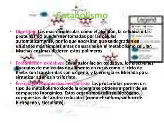 Catabolismo
• Digestión: Las macromoléculas como el almidón, la celulosa o las
proteínas no pueden ser tomadas por las células
automáticamente, por lo que necesitan que se degraden en
unidades más simples antes de usarlas en el metabolismo celular.
Muchas enzimas digieren estos polímeros
• Fosforilación oxidativa: En la fosforilación oxidativa, los electrones
liberados de moléculas de alimento en rutas como el ciclo de
Krebs son transferidas con oxígeno, y la energía es liberada para
sintetizar adenosín trifosfato.
• Energía de compuestos inorgánicos: Las procariotas poseen un
tipo de metabolismo donde la energía se obtiene a partir de un
compuesto inorgánico. Estos organismos utilizan hidrógeno,
compuestos del azufre reducidos (como el sulfuro, sulfuro de
hidrógeno y tiosulfato),
 