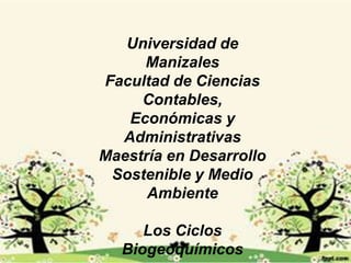 Universidad de
Manizales
Facultad de Ciencias
Contables,
Económicas y
Administrativas
Maestría en Desarrollo
Sostenible y Medio
Ambiente
Los Ciclos
Biogeoquímicos

 