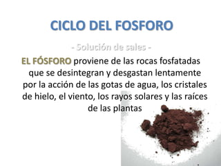 CICLO DEL FOSFORO
- Solución de sales -
EL FÓSFORO proviene de las rocas fosfatadas
que se desintegran y desgastan lentamente
por la acción de las gotas de agua, los cristales
de hielo, el viento, los rayos solares y las raíces
de las plantas
 