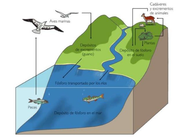 Resultado de imagen para ciclo atmosferico sedimentarios