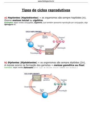 www.biologia.bio.br




                    Tipos de ciclos reprodutivos

a) Haplontes (Haplobiontes) = os organismos são sempre haplóides (n).
Ocorre meiose inicial ou zigótica.
Exemplos: algas verdes conjugadas, Zygnema, que também apresenta reprodução por conjugação; alga
Spirogyra etc.




b) Diplontes (Diplobiontes) = os organismos são sempre diplóides (2n).
A meiose ocorre na formação dos gametas = meiose gamética ou final.
Exemplos: algas verdes Siphonaples (este tipo de meiose ocorre também nos animais.)
 