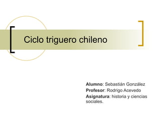 Ciclo triguero chileno Alumno : Sebastián González  Profesor : Rodrigo Acevedo Asignatura : historia y ciencias sociales. 