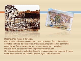 Desbravando matas e florestas.
Os tropeiros utilizavam ou criavam novos caminhos. Percorriam trilhas
estreitas e cheias de obstáculos. Ultrapassavam grandes rios com fortes
correntezas. Enfrentavam barrancos com pedras escorregadias.
Pousos eram os locais onde os tropeiros descansavam.
Construções simples, cobertas de palha e sustentadas por varas de árvores
enterradas no chão. Ao lado um pasto e água para os animais.
 