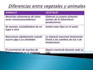 Diferencias entre vegetales y animales