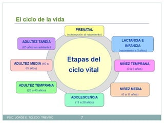 7PSIC. JORGE E. TOLEDO TREVIÑO
 