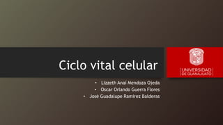 Ciclo vital celular
• Lizzeth Anaí Mendoza Ojeda
• Oscar Orlando Guerra Flores
• José Guadalupe Ramírez Balderas
 