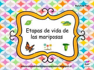 Etapas de vida de
las mariposas
By Lilian Paz
misrecursosdidacticosparaparvulos.blogspot.cl
 