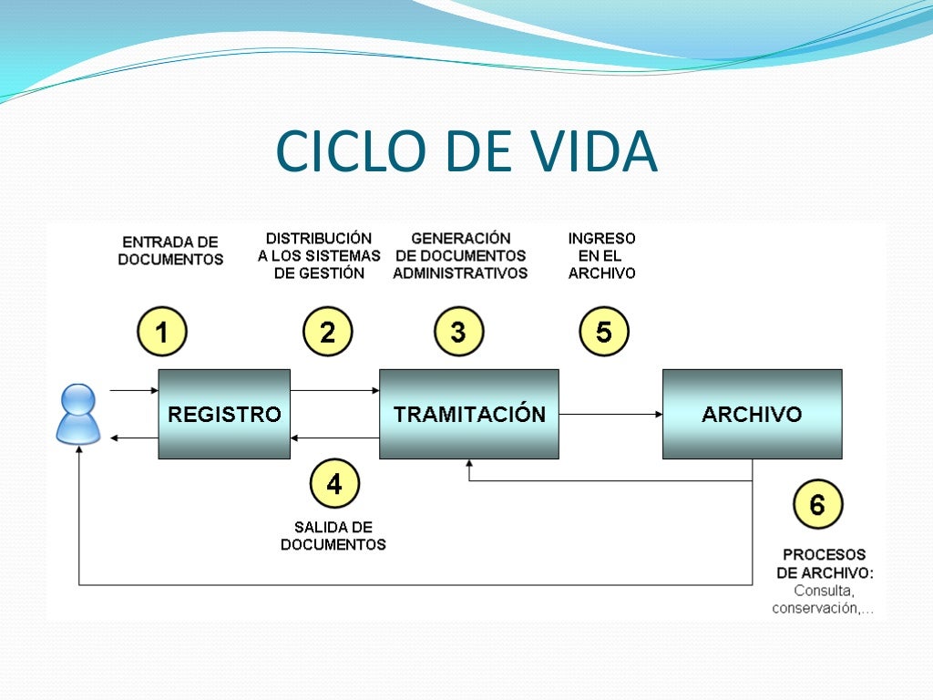 Ciclo De Vida Dos Documentos - BRAINCP