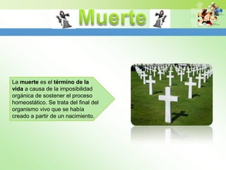 La muerte es el término de la
vida a causa de la imposibilidad
orgánica de sostener el proceso
homeostático. Se trata del final del
organismo vivo que se había
creado a partir de un nacimiento.
 
