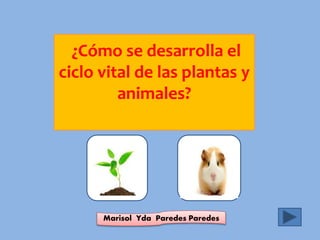 ¿Cómo se desarrolla el
ciclo vital de las plantas y
animales?
Marisol Yda Paredes Paredes
 