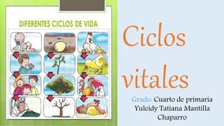 Ciclos
vitalesGrado: Cuarto de primaria
Yuleidy Tatiana Mantilla
Chaparro
 
