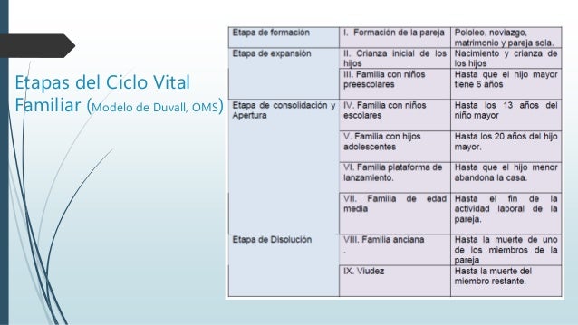Ciclo vital familiar 2015