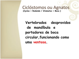 Ciclóstomos ou Agnatos Vertebrados  desprovidos  de  mandíbula  e portadores de boca circular,funcionando como uma  ventosa . ( Cyclos = Redondo / Stomatos = Boca )  