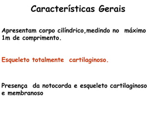 Apresentam corpo cilíndrico,medindo no  máximo 1m de comprimento. Esqueleto totalmente  cartilaginoso. Presença  da notocorda e esqueleto cartilaginoso  e membranoso Características Gerais 