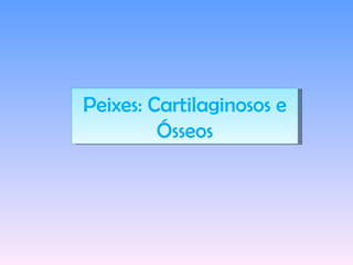 Peixes: Cartilaginosos e Ósseos 