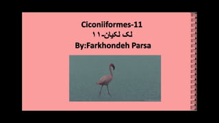 Ciconiiformes 11