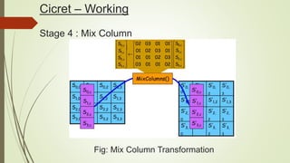 Cicret – Working
Stage 4 : Mix Column
Fig: Mix Column Transformation
 