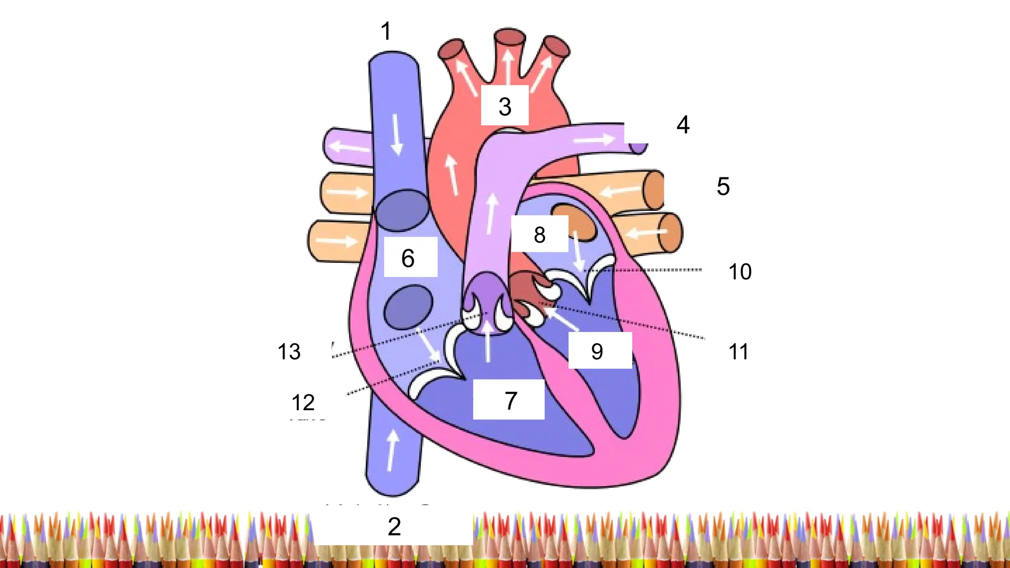 1
2
3
4
5
6
7
8
9
10
11
12
13
 