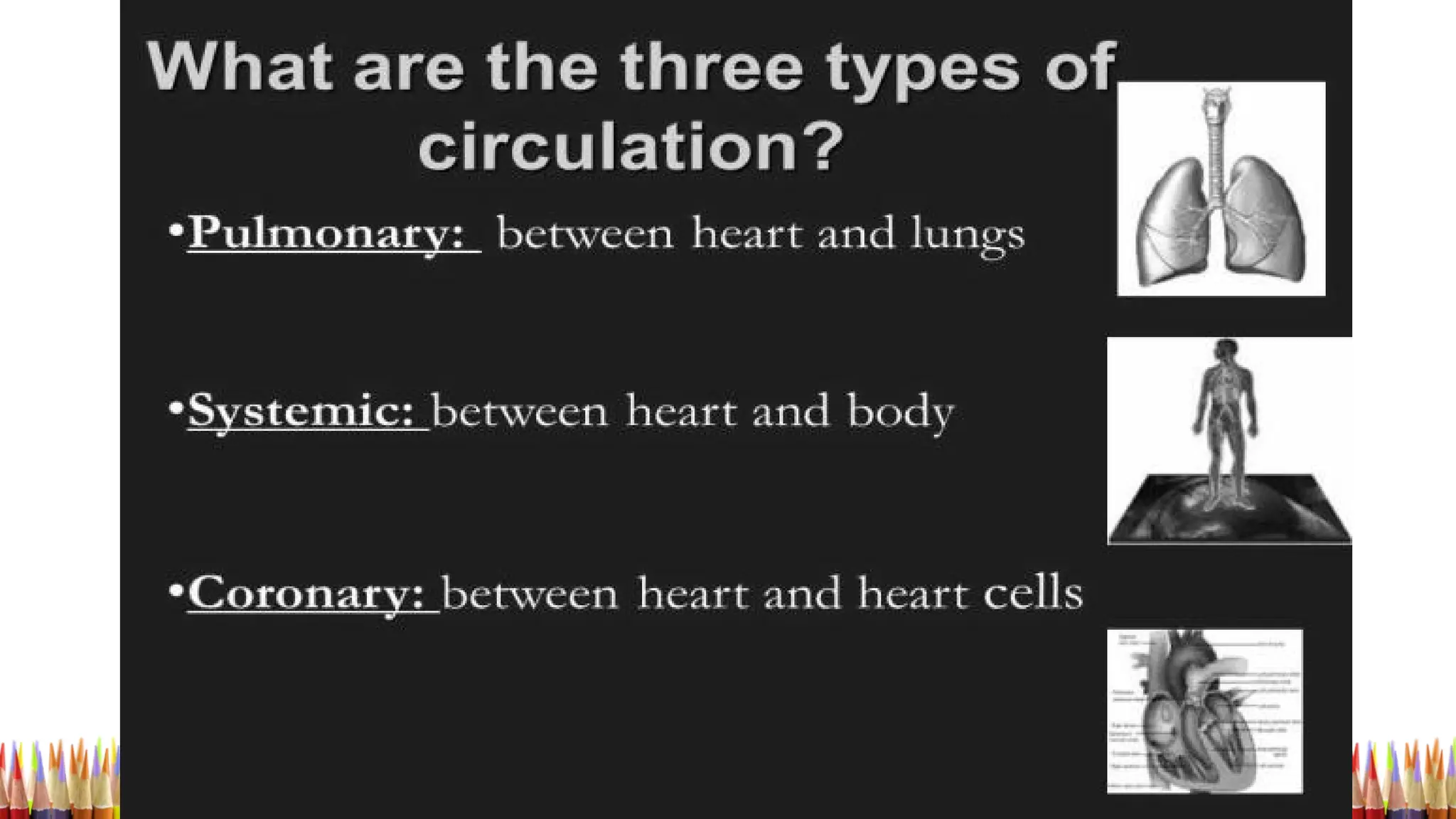 Circulatory System - Quarter 1 :Module 1
