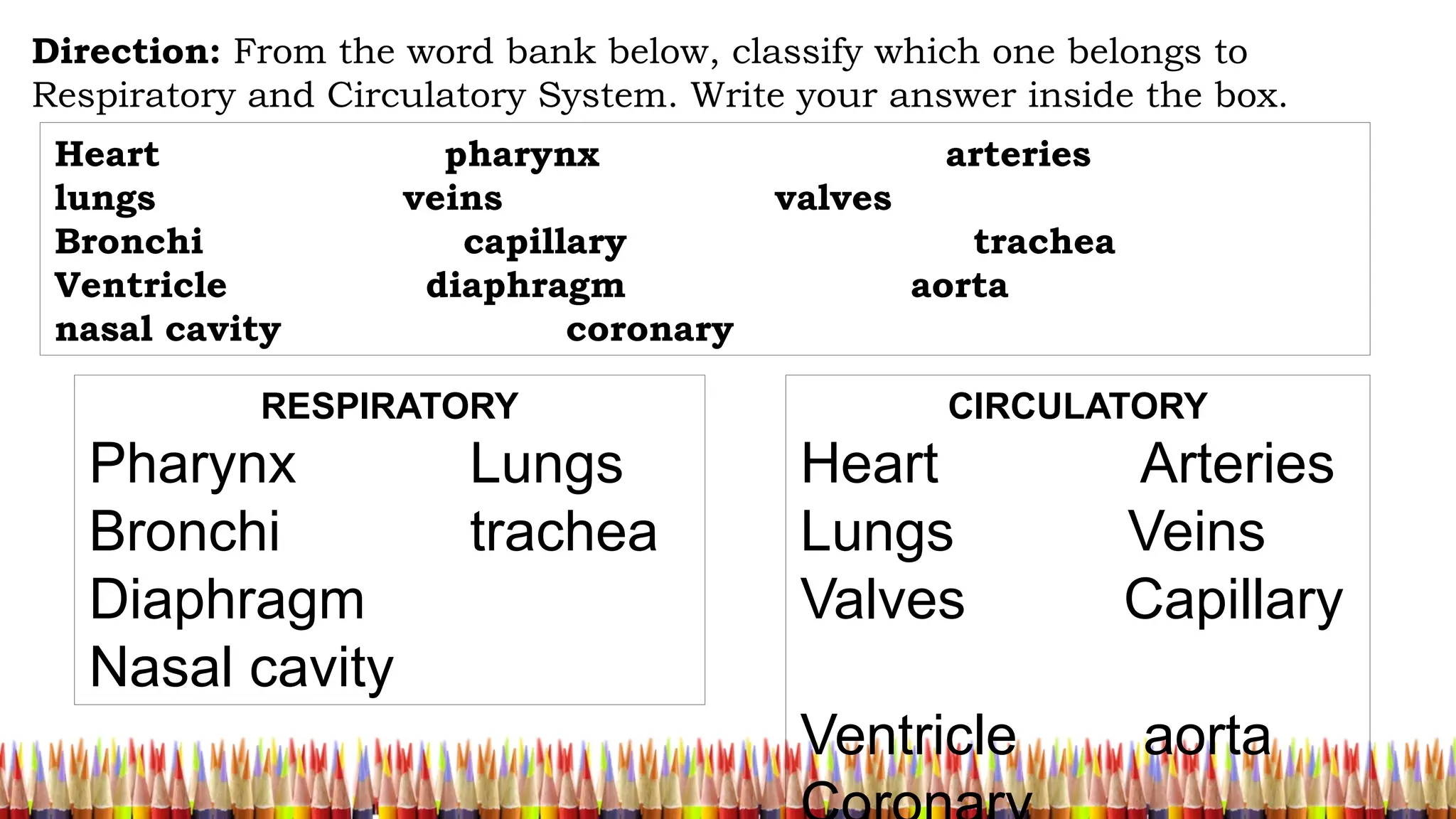 Direction: From the word bank below, classify which one belongs to
Respiratory and Circulatory System. Write your answer inside the box.
Heart pharynx arteries
lungs veins valves
Bronchi capillary trachea
Ventricle diaphragm aorta
nasal cavity coronary
RESPIRATORY
Pharynx Lungs
Bronchi trachea
Diaphragm
Nasal cavity
CIRCULATORY
Heart Arteries
Lungs Veins
Valves Capillary
Ventricle aorta
 