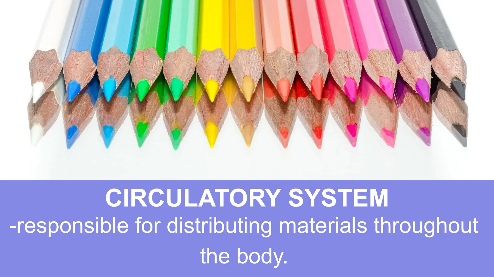 CIRCULATORY SYSTEM
-responsible for distributing materials throughout
the body.
 