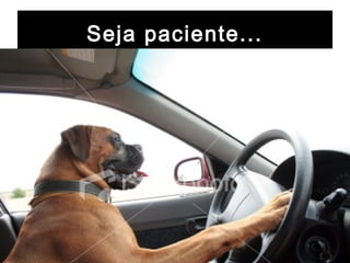 Seja paciente...
 