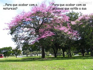 ...Para que acabar com a
natureza?
Para que acabar com as
pessoas que estão a sua
volta?
 