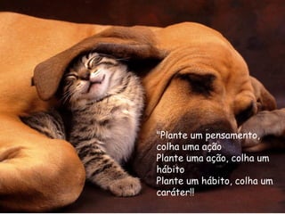 "Plante um pensamento,
colha uma ação
Plante uma ação, colha um
hábito
Plante um hábito, colha um
caráter!!
 